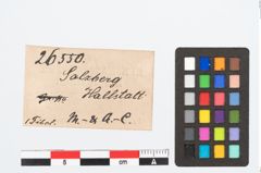 Etikett zu Bronzedreiknopffibel (NHMW-PRAE-026550)